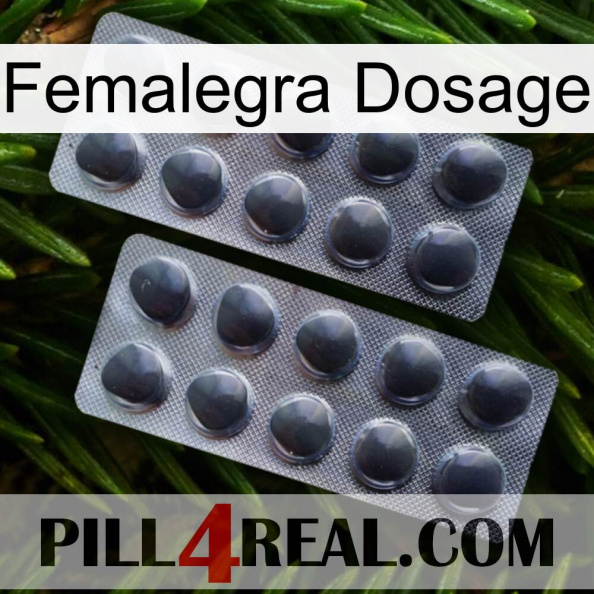 Femalegra Dosage 31.jpg